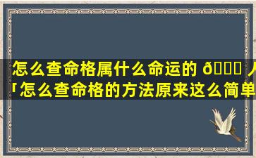 怎么查命格属什么命运的 🕊 人「怎么查命格的方法原来这么简单就看出来了 🌴 」